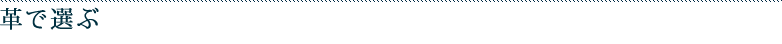 革で選ぶ